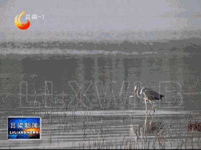 孝义市全国文明城市复查是否通过,孝义文明城市视频