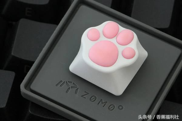 猫咪就是最好的时尚单品,猫咪就是这个世界上最可爱的动物