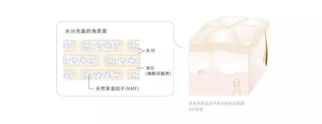 奥尔滨albion补水,澳尔滨健康水新款