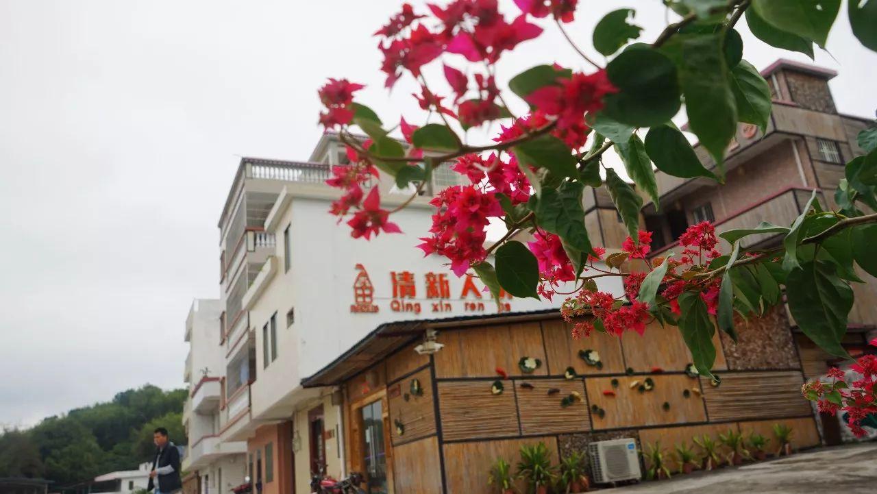 清远清新文明村,清远市文明村