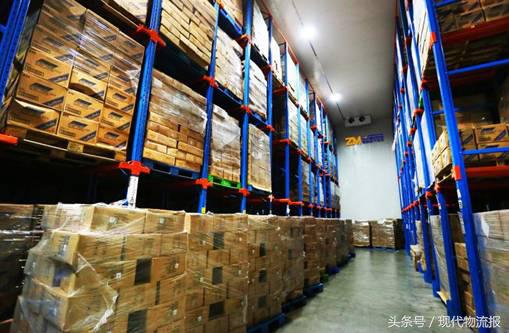 郑明物流最新信息,郑明物流困局