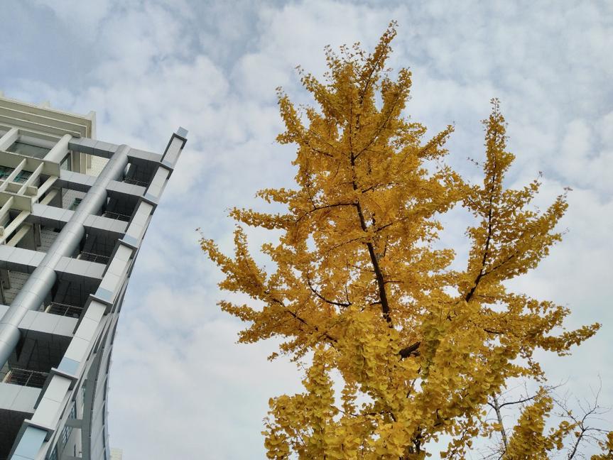 坚果PRO2测评,坚果pro2开不了机