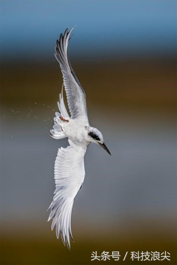 尼康D850测评,尼康d850测试