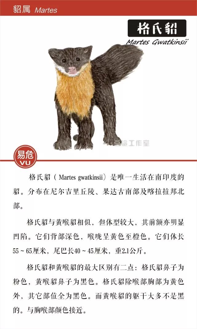 给你带来温暖和短暂时尚的皮草，你想知道背后的故事吗？