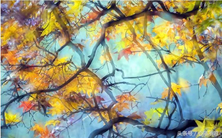 头痛牙痛肚子痛,头痛肚子痛全身无力吃什么药