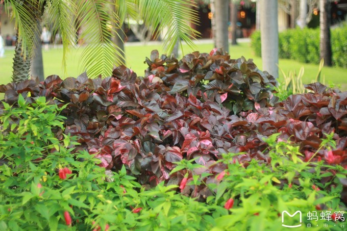 三亚旅游全攻略带孩子必玩,带小孩感受阳光与海滩