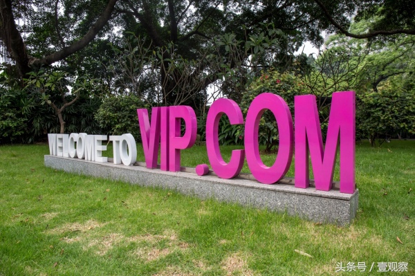 唯品会如何活下来的,唯品会的独特之处