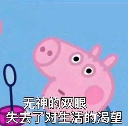 小猪佩奇表情包精选,常用表情包小猪佩奇