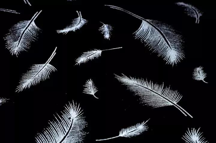 阿里和方兴东的互撕背后,重点是电商的二选一