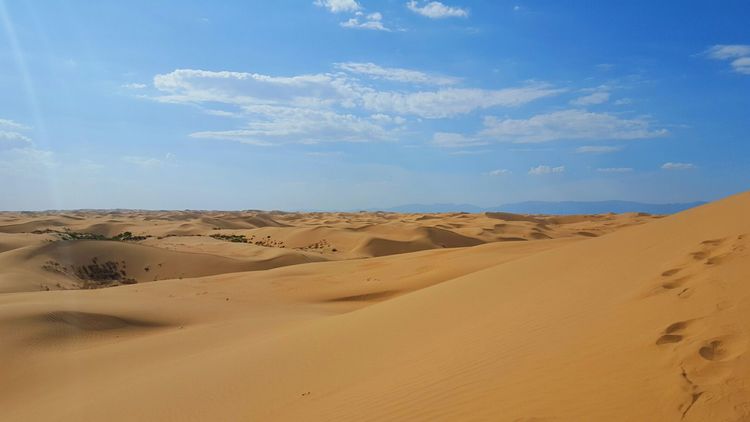 恩格贝沙漠自驾游,走进原始森林房车游记