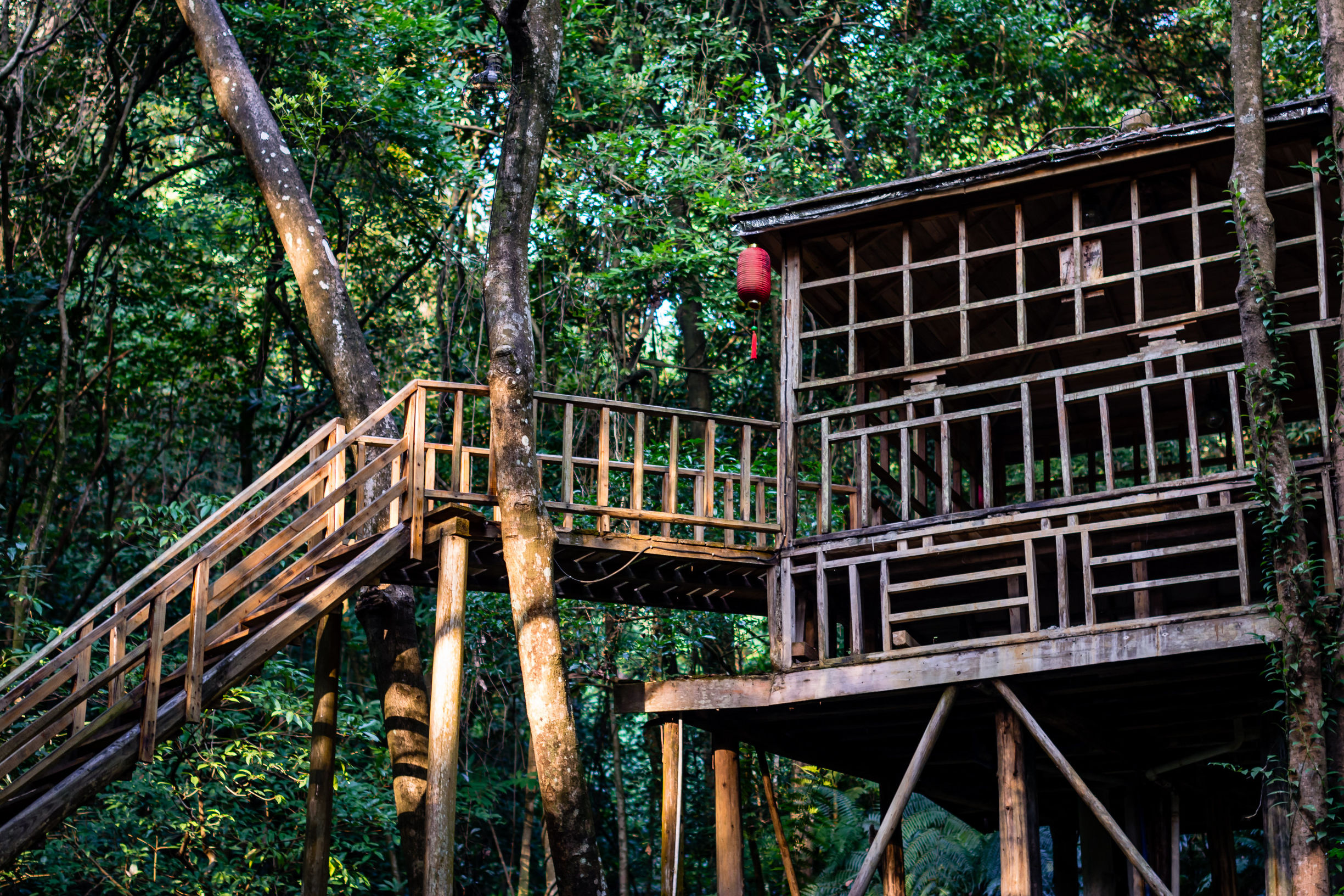 空山有灵，漫步阡陌