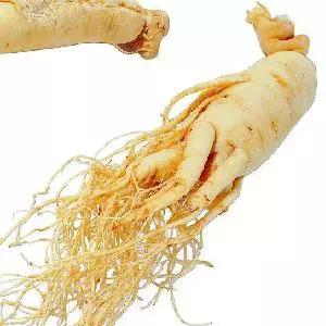 全国各个省市的特产介绍,中国各省市特产