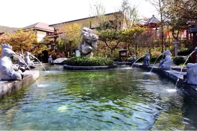 大连周边温泉度假村排名榜,大连汤本汤温泉门票价目表