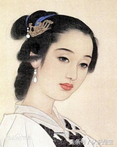 芭蕉树它是怎么来的,讲解芭蕉树