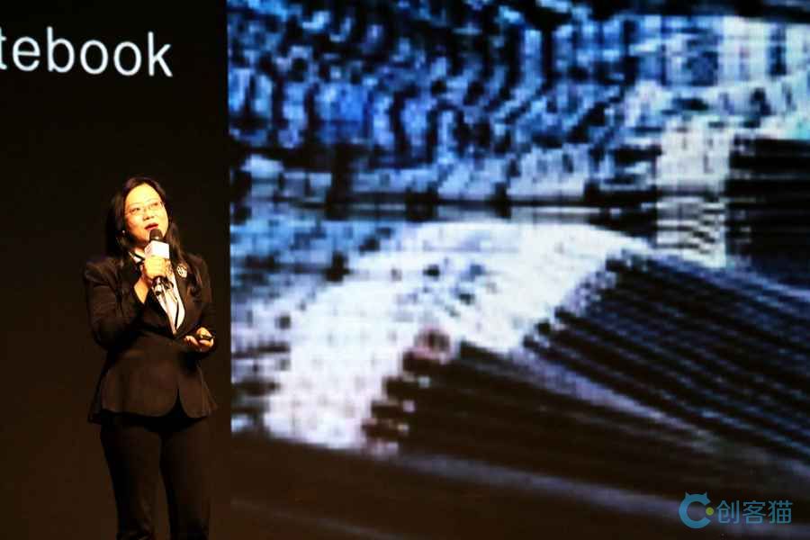 依文集团董事长夏华演讲,依文集团夏华个人简历