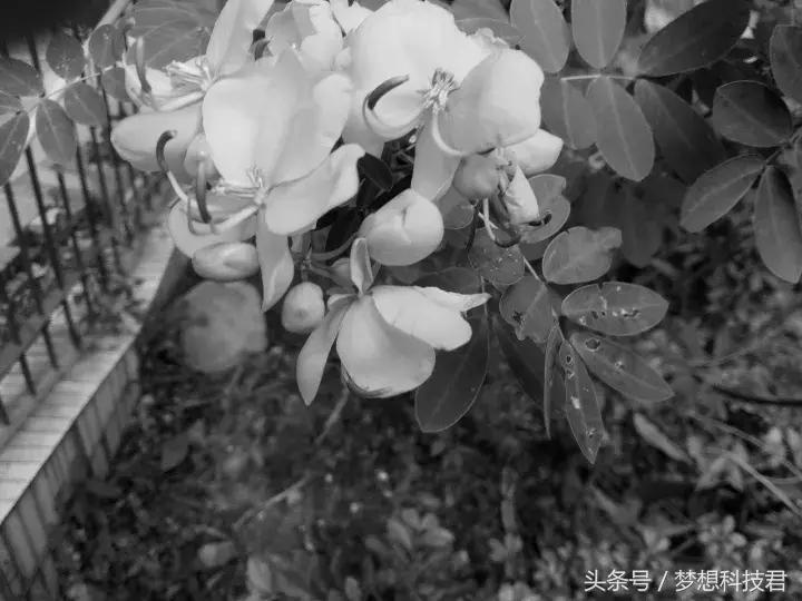 mix2手机现在售价,mix2还值不值得买