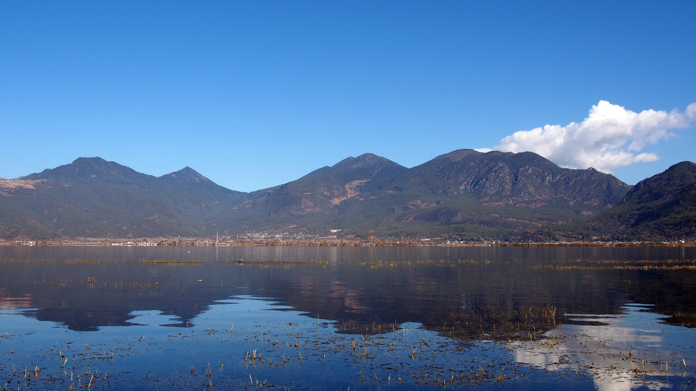 水至清则无鱼游泳,水至清则无鱼但是还是有很多鱼