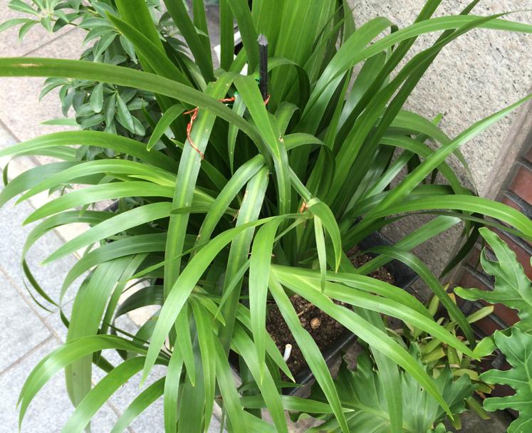 韩国首尔富人区街景视频完整版,韩国首尔街景视频