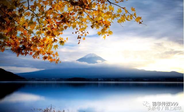 去日本旅游最全攻略,去日本旅游必看