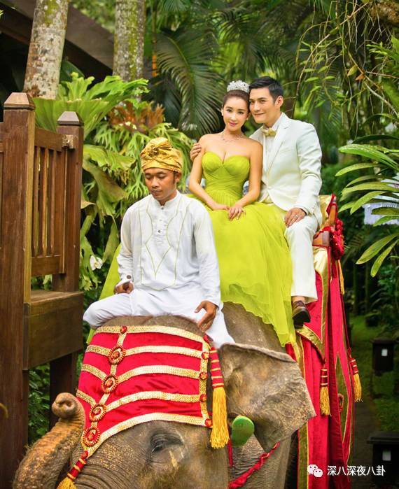 老婆买红薯都能上热搜,严宽为毛还不红?情商低在哪儿都不好混啊