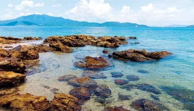 深圳十大打工美女排名表,深圳第一美女简历