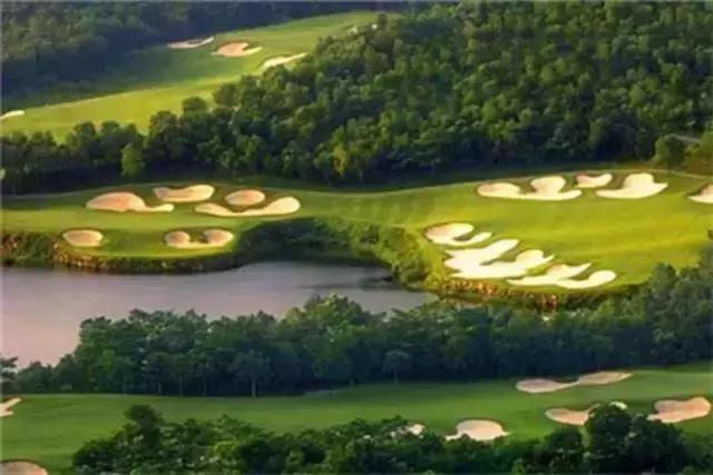 深圳十大打工美女排名表,深圳第一美女简历