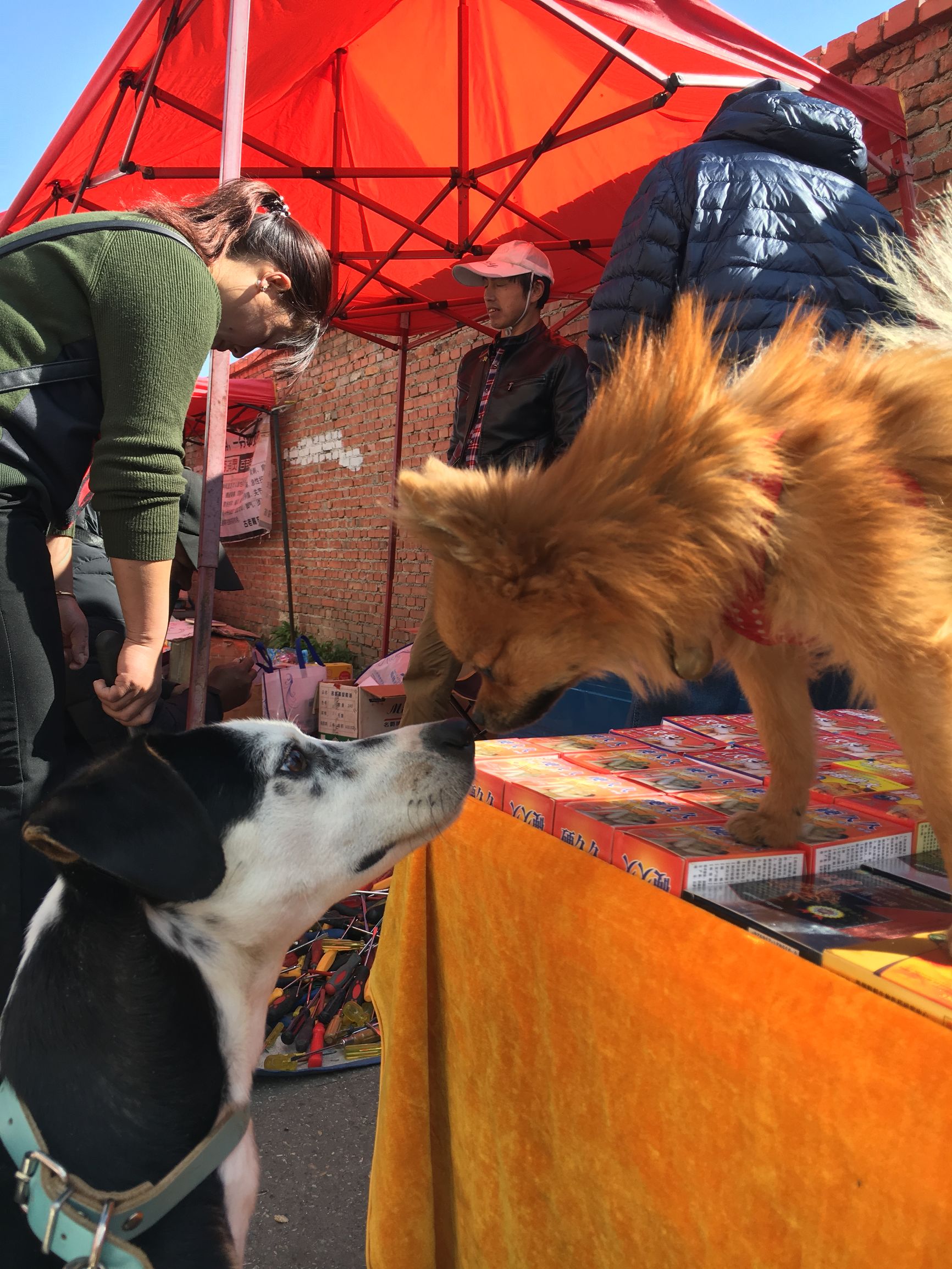 带你去看大理这些小众之地,大理二手家具旧货市场