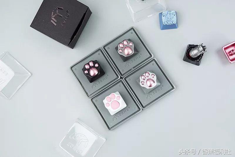 猫咪就是最好的时尚单品,猫咪就是这个世界上最可爱的动物