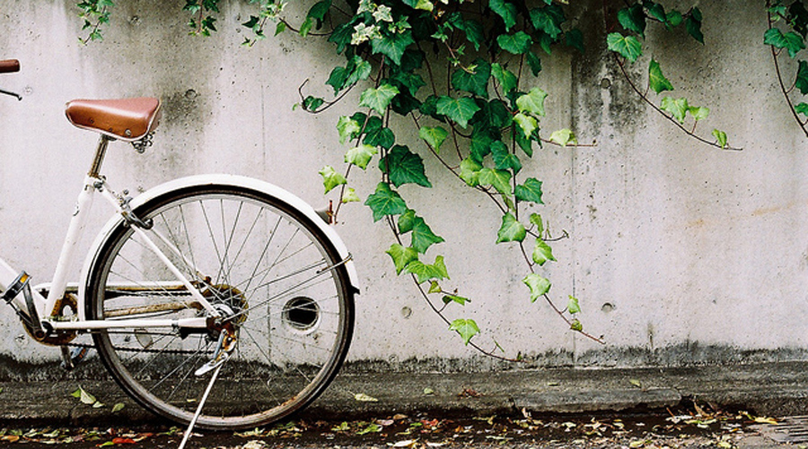 社会太浮躁需要正能量,如何在浮躁的社会里保持平静的心