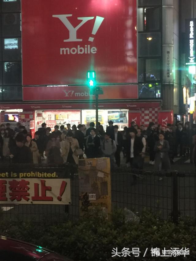 去日本旅游最全攻略,去日本旅游必看