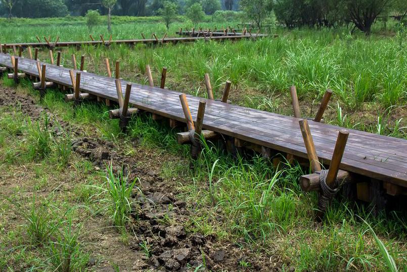 长兴有多美之图影生态湿地文化园，是典型的湖泊形湿地