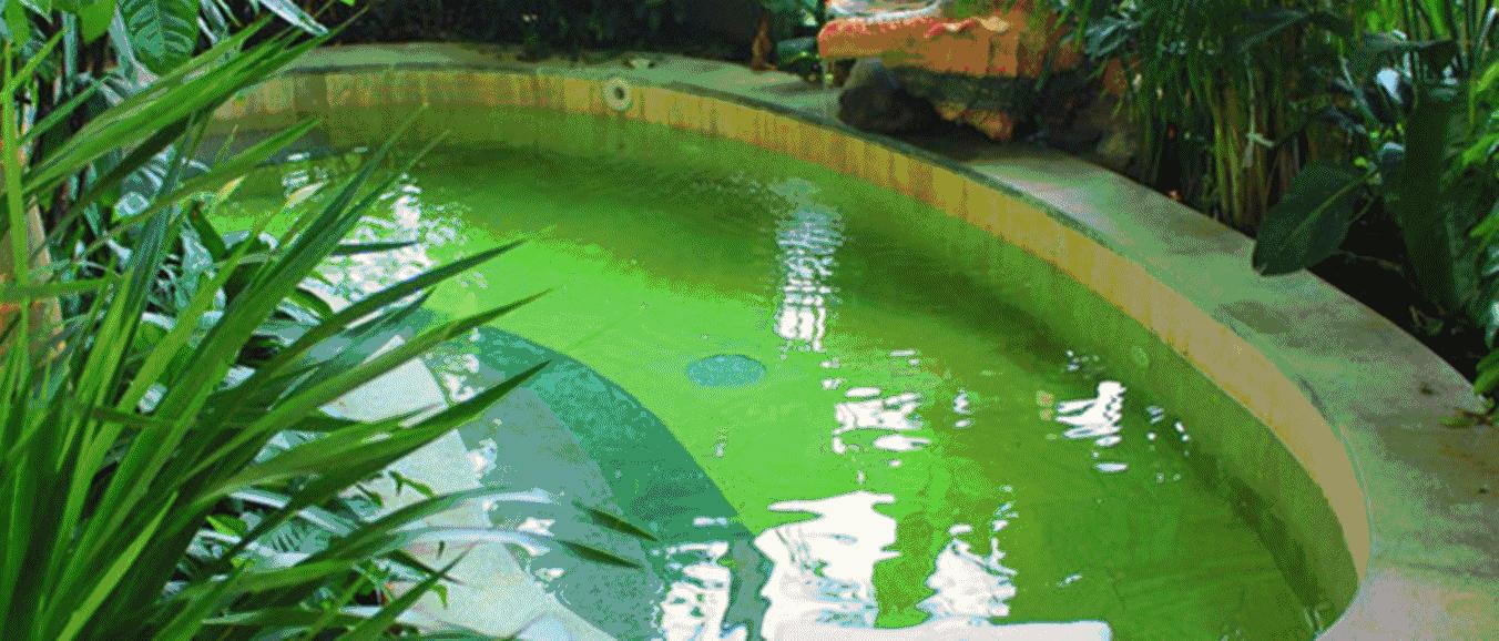 大连周边温泉度假村排名榜,大连汤本汤温泉门票价目表