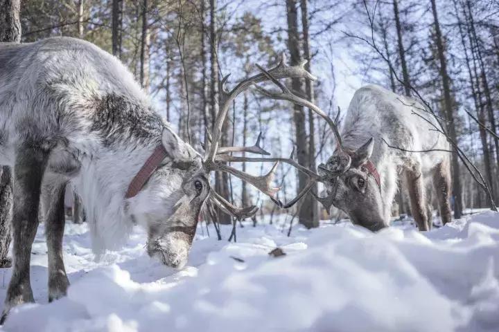 大多数小伙伴儿都不知道的旅行秘密