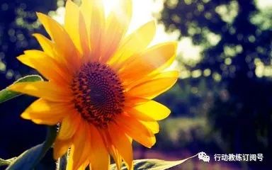 怎么让员工愿意为你做事,如何让一个员工主动听你的话