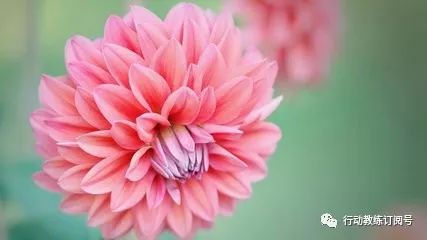 怎么让员工愿意为你做事,如何让一个员工主动听你的话