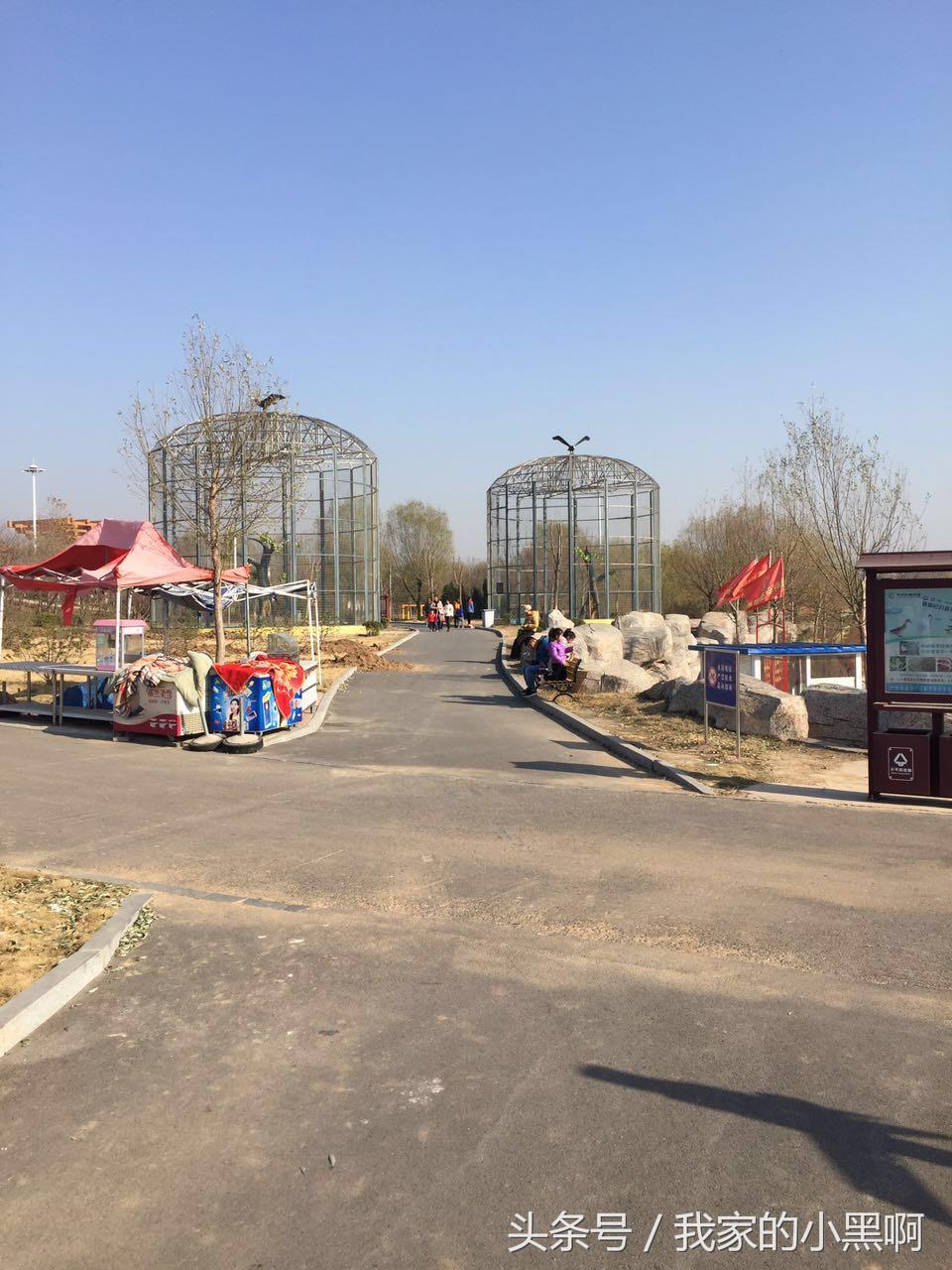 测评德州一日游,德州市动植物园一日游