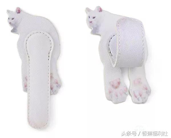 猫咪就是最好的时尚单品,猫咪就是这个世界上最可爱的动物