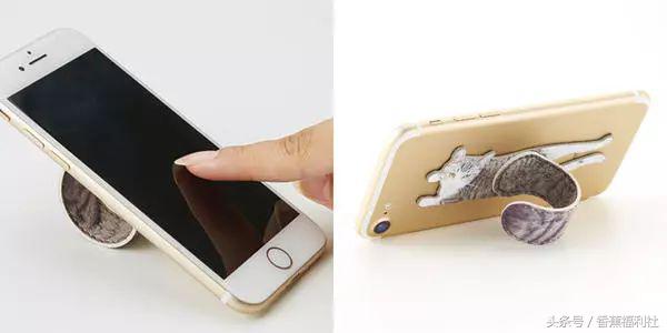 猫咪就是最好的时尚单品,猫咪就是这个世界上最可爱的动物