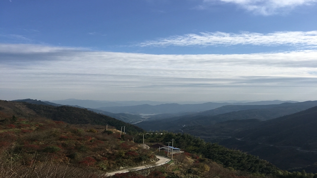 四明山区森林公园,四明山森林公园夏天