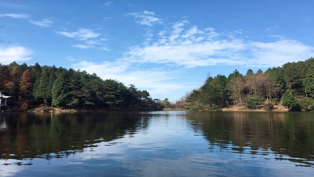 四明山区森林公园,四明山森林公园夏天