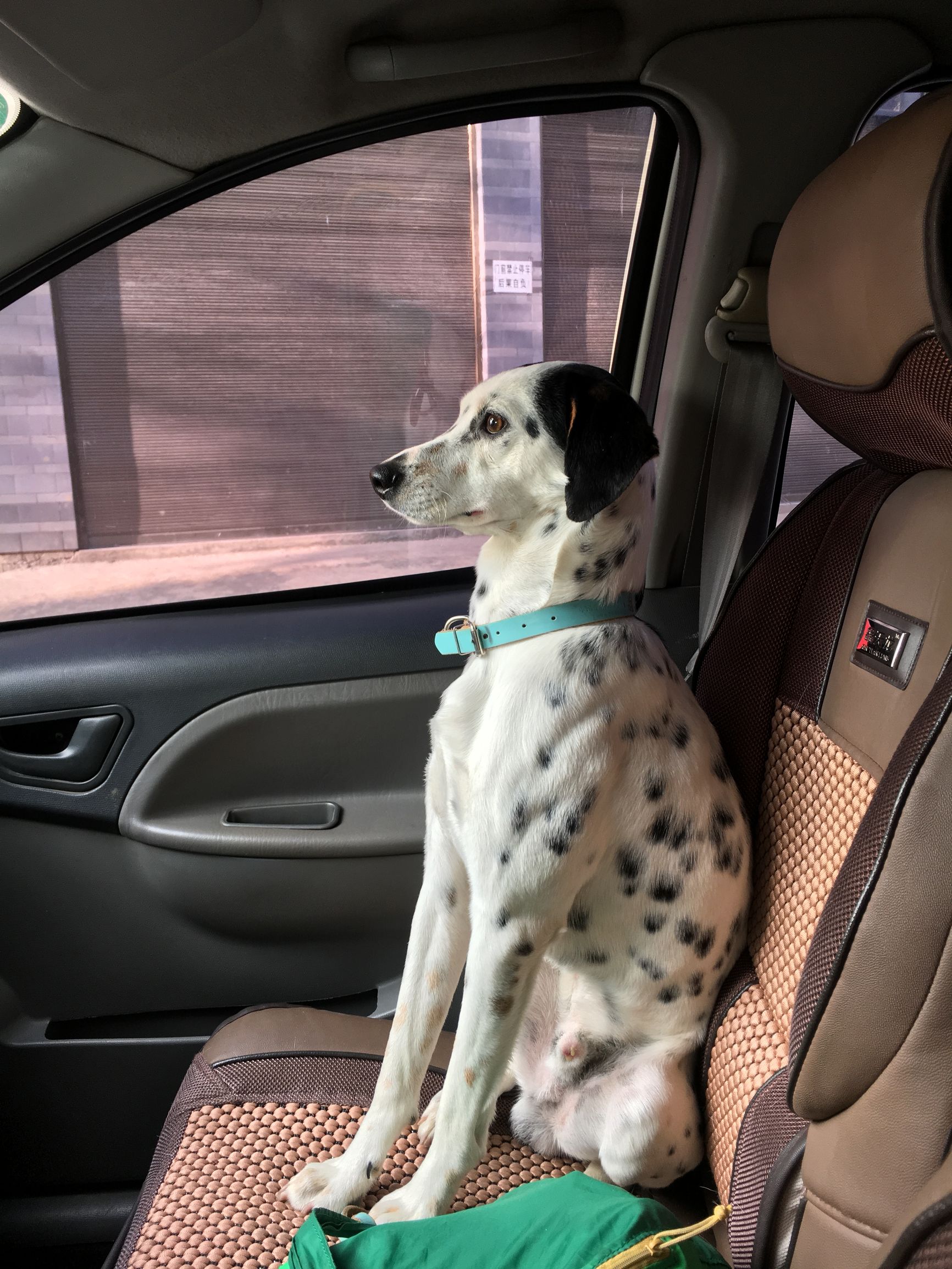 带你去看大理这些小众之地,大理二手家具旧货市场