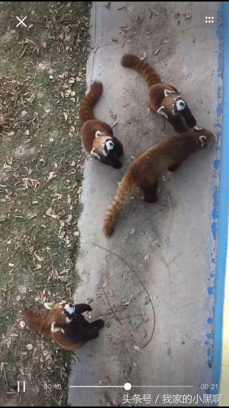 测评德州一日游,德州市动植物园一日游
