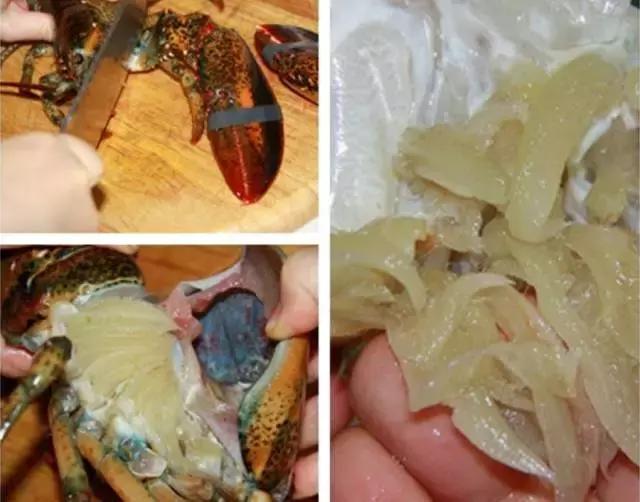 冰冻波士顿大龙虾的正确处理方法,波士顿大龙虾怎么处理