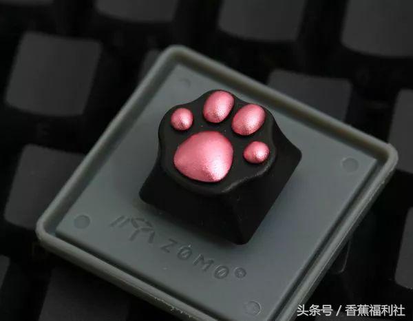 猫咪就是最好的时尚单品,猫咪就是这个世界上最可爱的动物