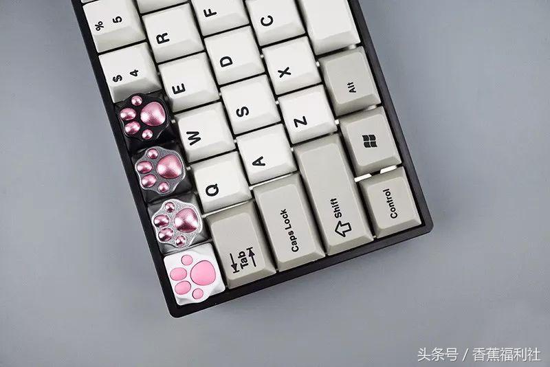 猫咪就是最好的时尚单品,猫咪就是这个世界上最可爱的动物