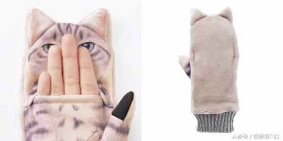 猫咪就是最好的时尚单品,猫咪就是这个世界上最可爱的动物