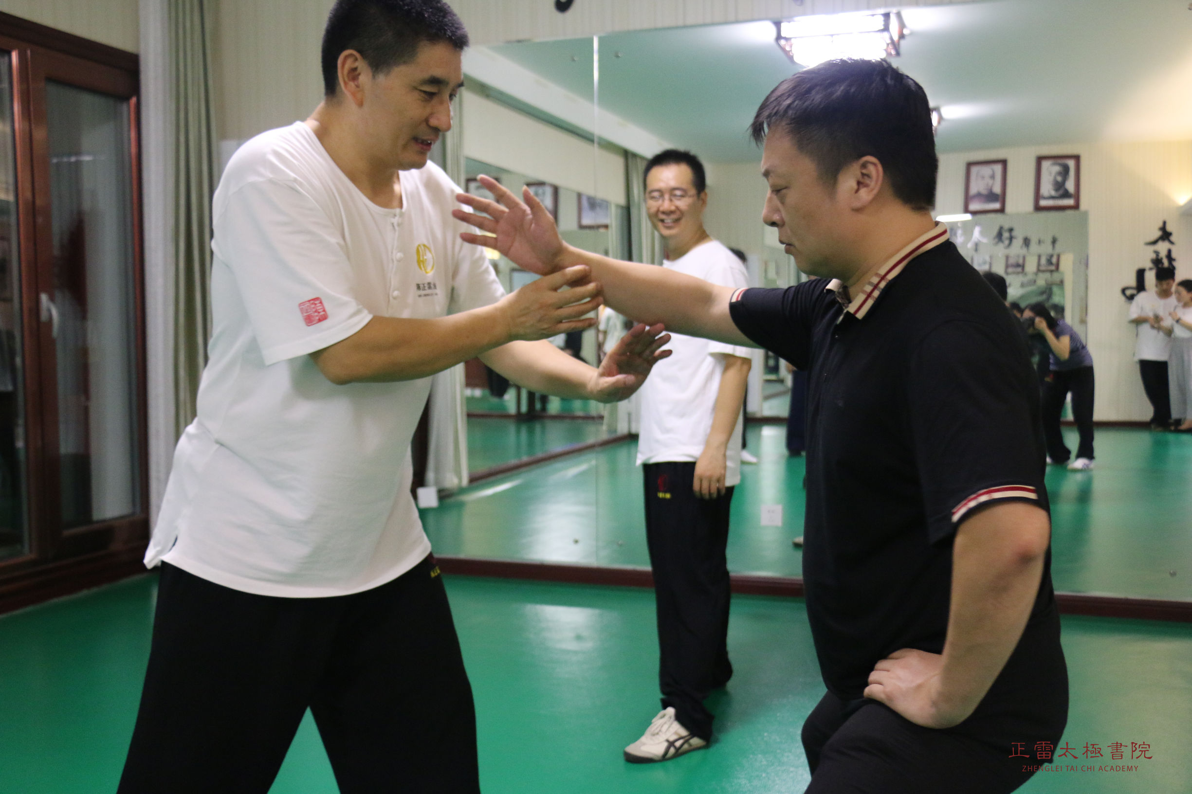 传拳不传胯的正确方法,太极拳圆裆理论