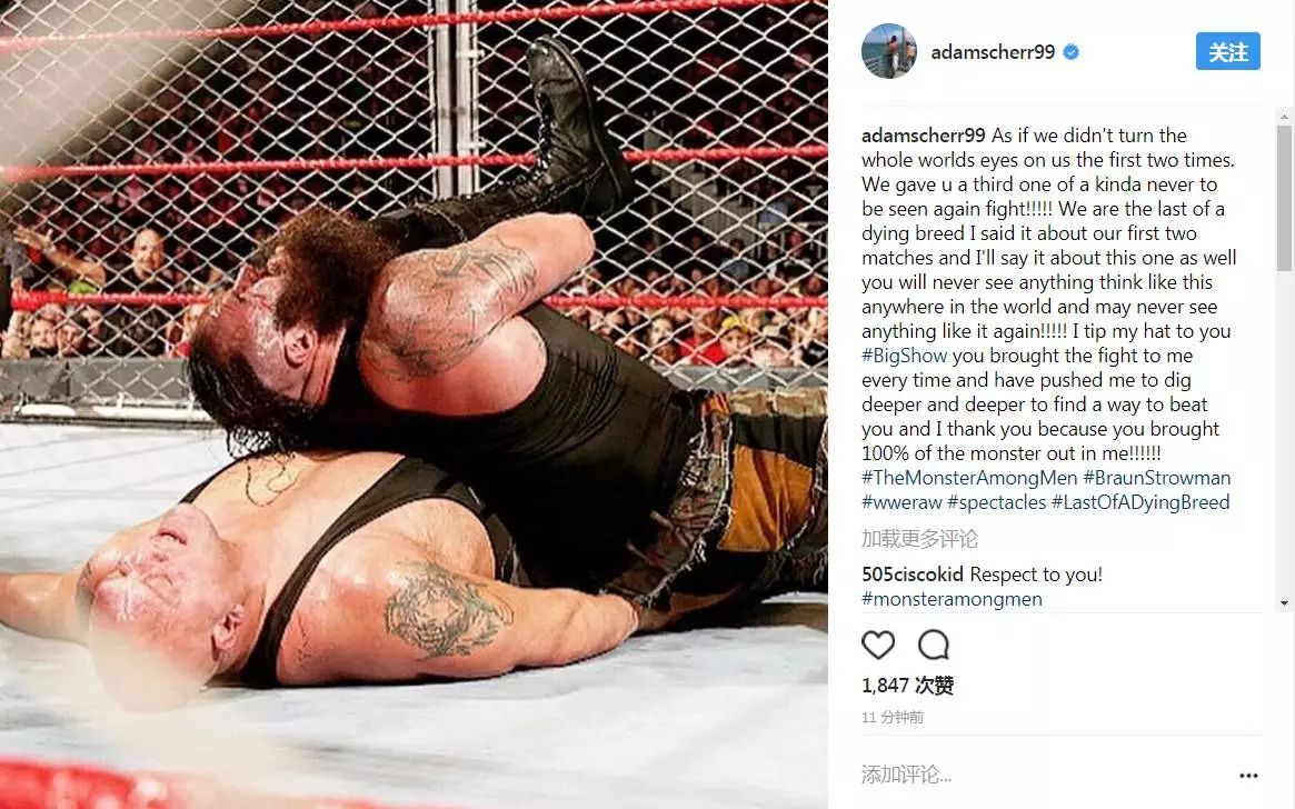 大布打兰迪和王大锤,大布和王大锤的对决