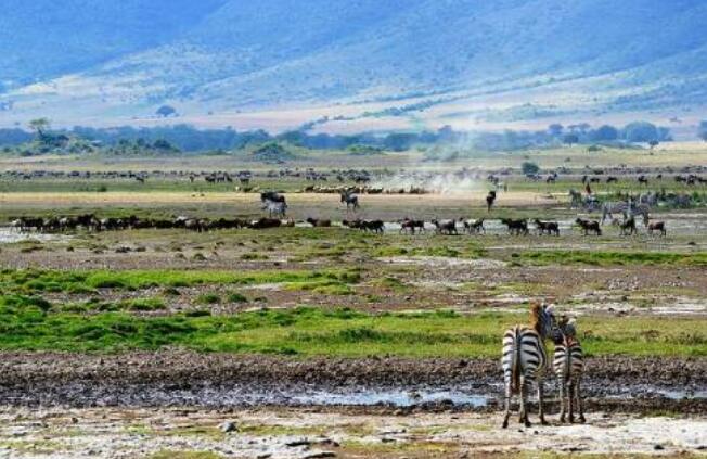 火山喷发会有什么奇观,世界上的火山喷发