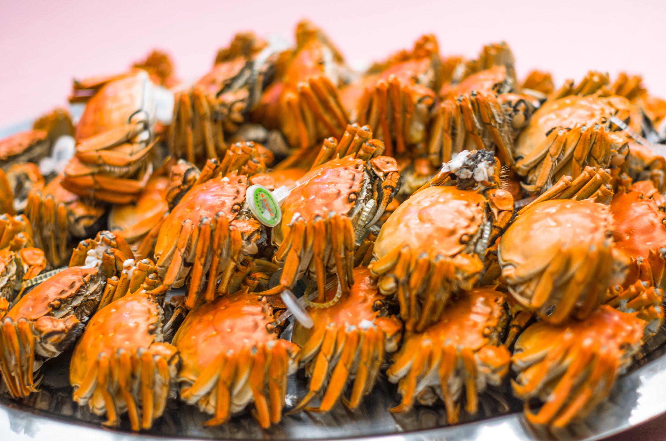 为何上海人都喜欢驱车到这吃大闸蟹，晚上还愿住在这里